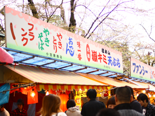 Cherry Blossoms Festival [Sakura Matsuri]
