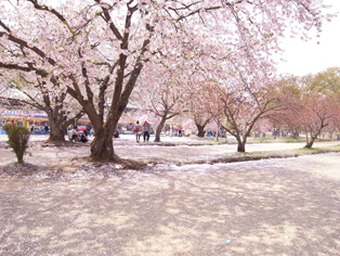 Hirosaki Park